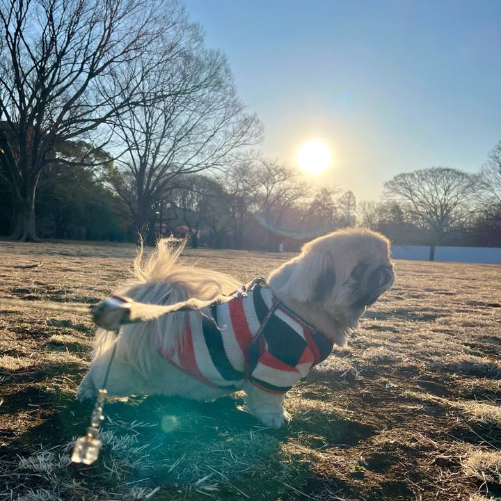 6fa477e3 48fd 42b0 9a23 4bfa9ed501ec 1740608100927