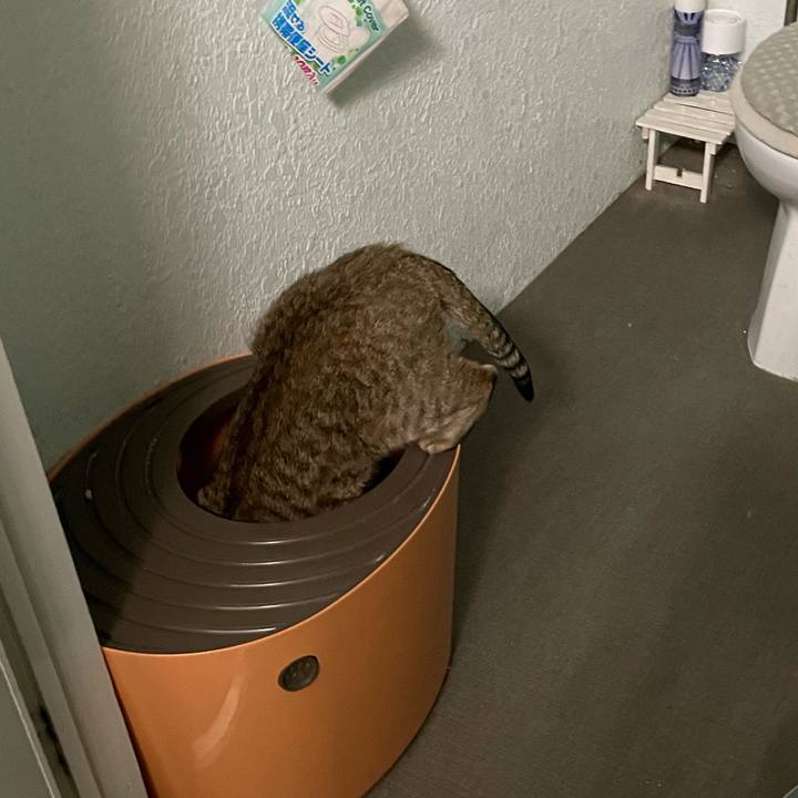 6fa4f585 dc02 4d47 9915 01e7b3420ef5 1679112491275