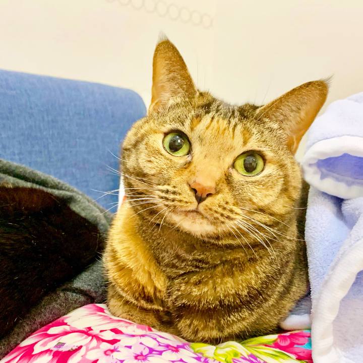 6fa517a3 41a1 4dc9 bc52 641260fd2743 1615206811853