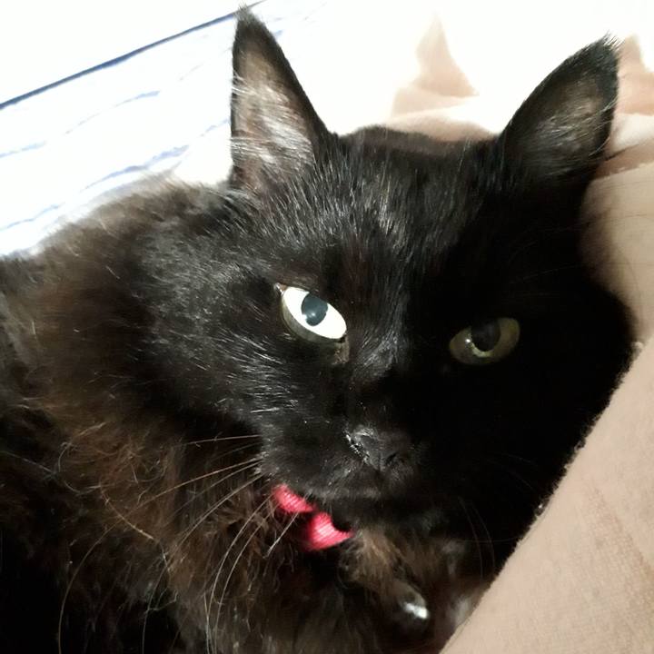 6fa51df9 ad59 4f21 8ef4 5ffe9b0cff9b 1533280842492