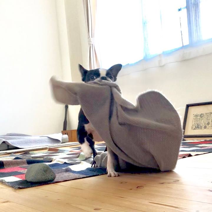 6fa543ed 453c 4f1e b5fa 7174db165878 1523674229490