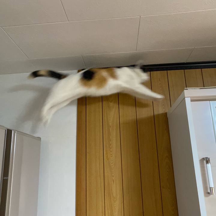 6fa5505f 28eb 4d26 969e 644a3edcd9d1 1644104777942