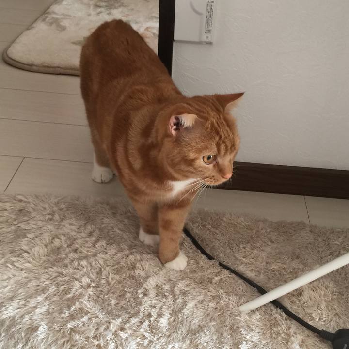 6fa558e5 0094 4898 976e c5f4bdc8a44f 1509926482972