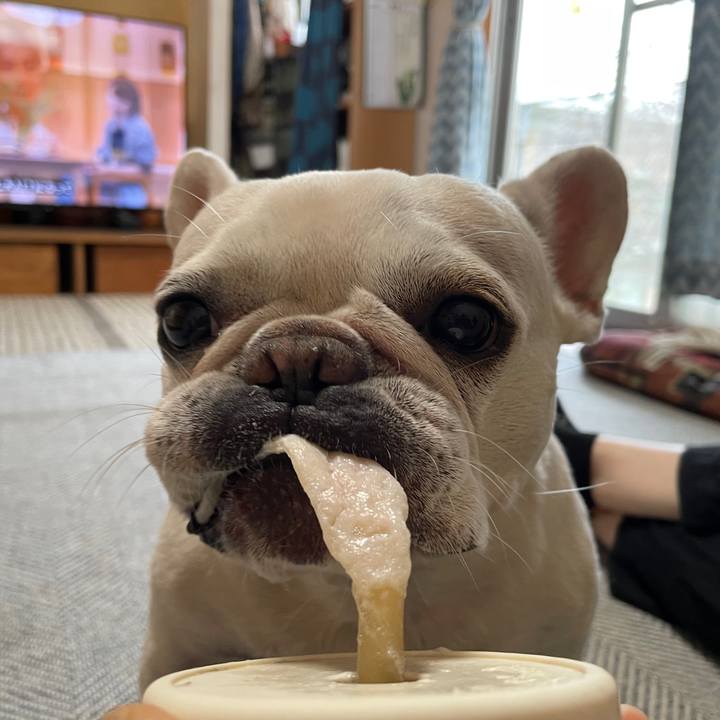 6fa55fb7 4fdb 4289 849f be4706e0a84a 1759447213869