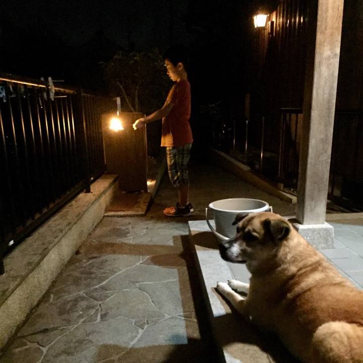 6fa57fb4 488c 41fc bee1 82b3b03db150 1534332430498