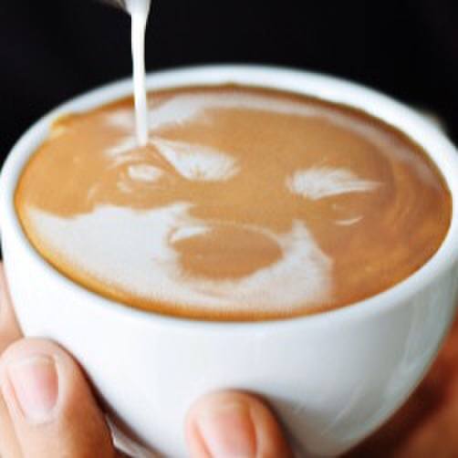 6fa5f6ca 3182 4a0f 9043 8a77bb49bebb 1569772193890