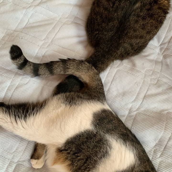 6fa5fb73 ea90 45d1 a9c8 20ebed56b035 1561942046537