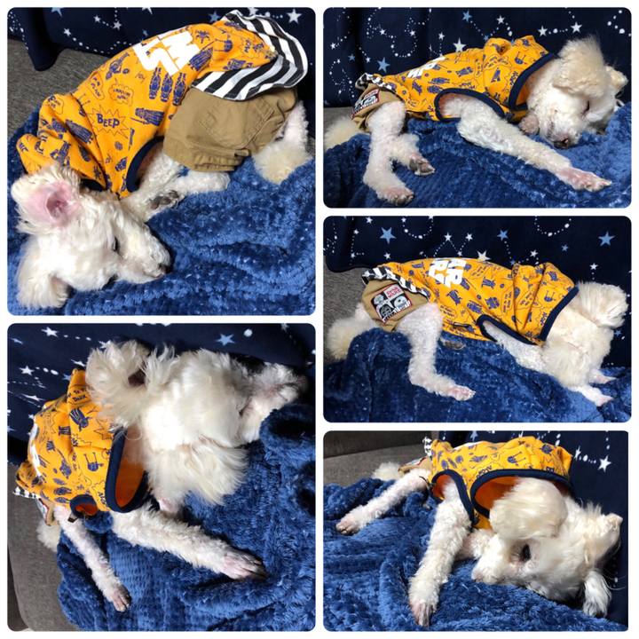 6fa60dea fd55 4302 aac3 e0943f7162a1 1547298155641