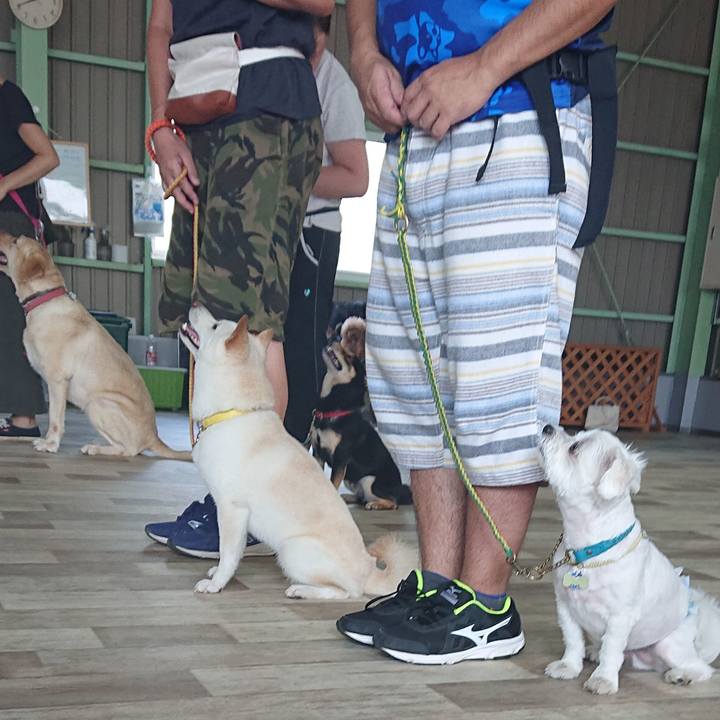 6fa60eb0 9b6e 4ce9 b4fd e2d4e154d32c 1533457630919