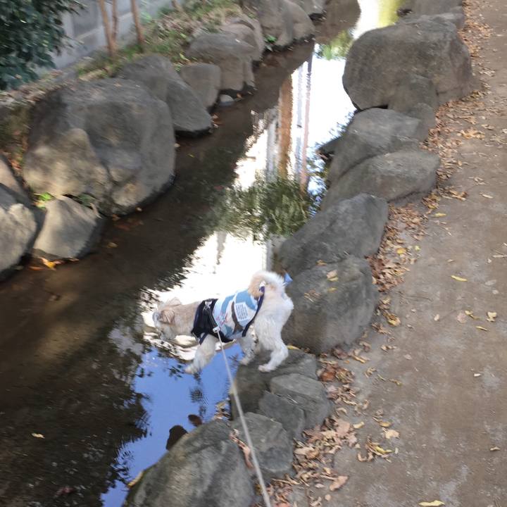 6fa610e9 ad5c 4ff1 aa23 a36ccc3e0766 1542351194524