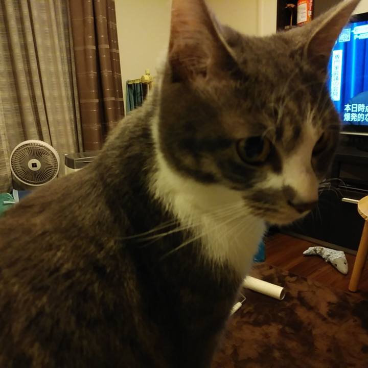 6fa62b7b 215c 4452 b23c cf7db2cbe28f 1583759579295