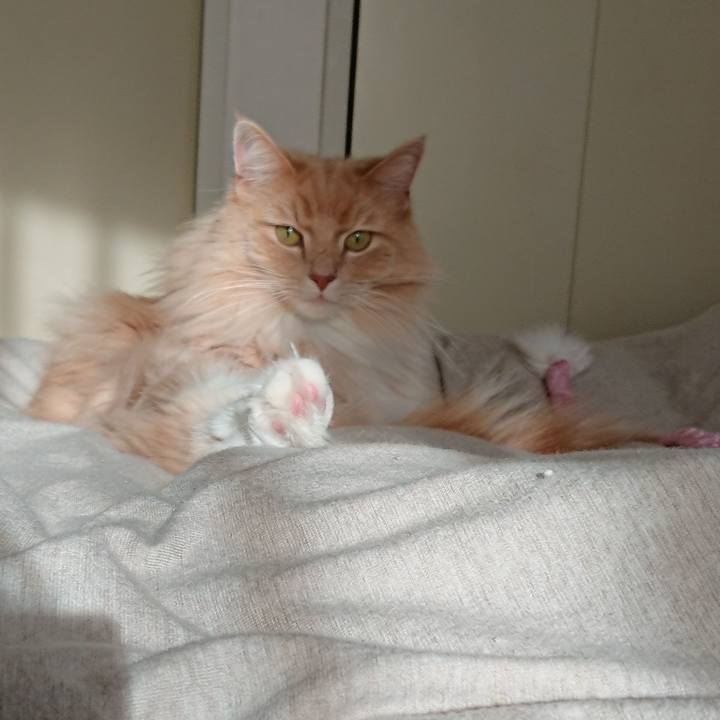 6fa651c8 fea9 41c7 a1d6 06d33e0e4843 1548050959189