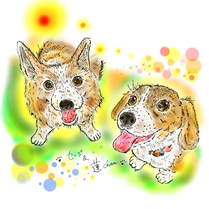 6fa65851 e550 461c 8bc0 6b49fc6d7976 1593357442629