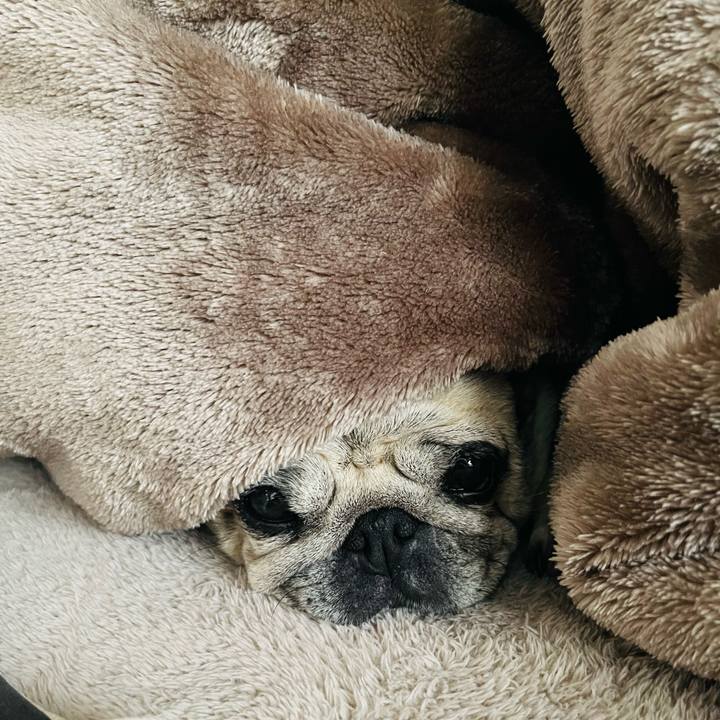 6fa68faf c977 461f a318 ba77f3f8b6b1 1766405498254