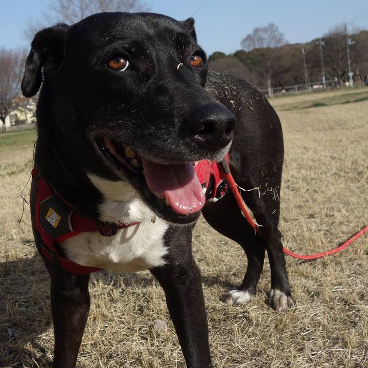 6fa6eafb 9c2d 4a08 ad33 e090799ef710 1678495829577