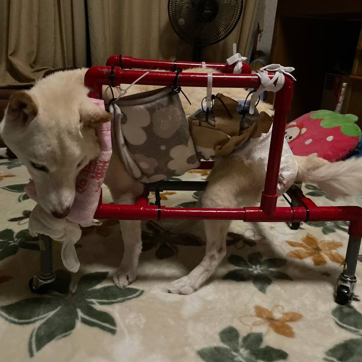 6fa6fbdc 1742 41d9 bd46 a863263b95d7 1669581457648