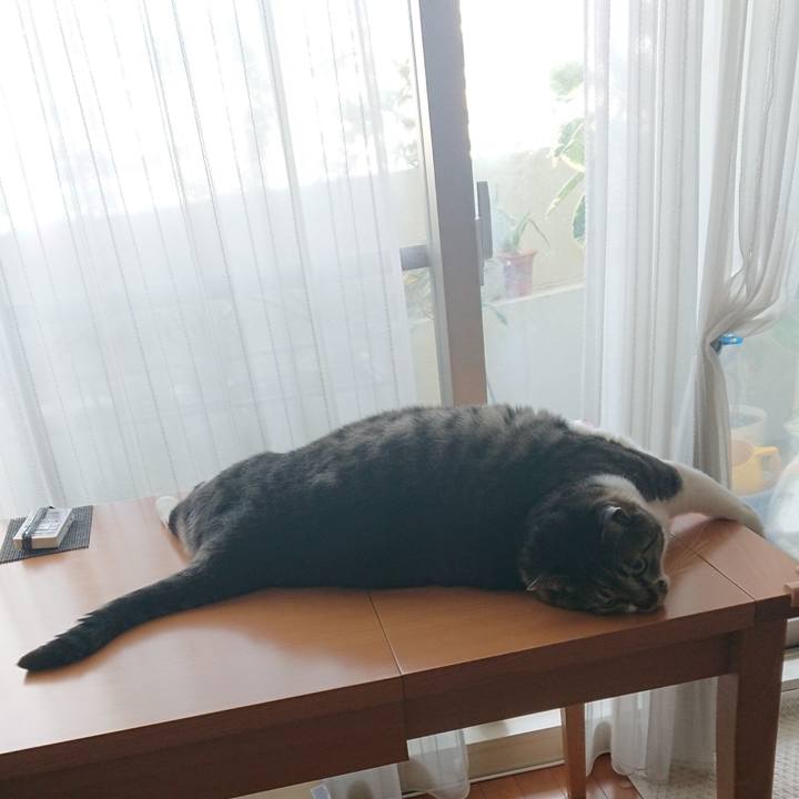 6fa71762 30e9 442c ad08 1761fb274601 1558251739985