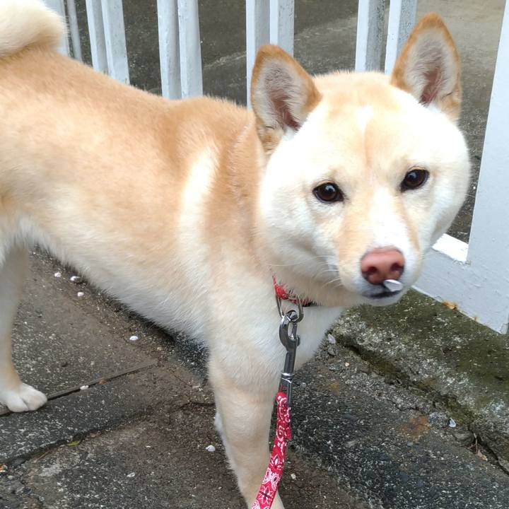 6fa71854 6275 4ce6 9b33 764988990758 1521198727070