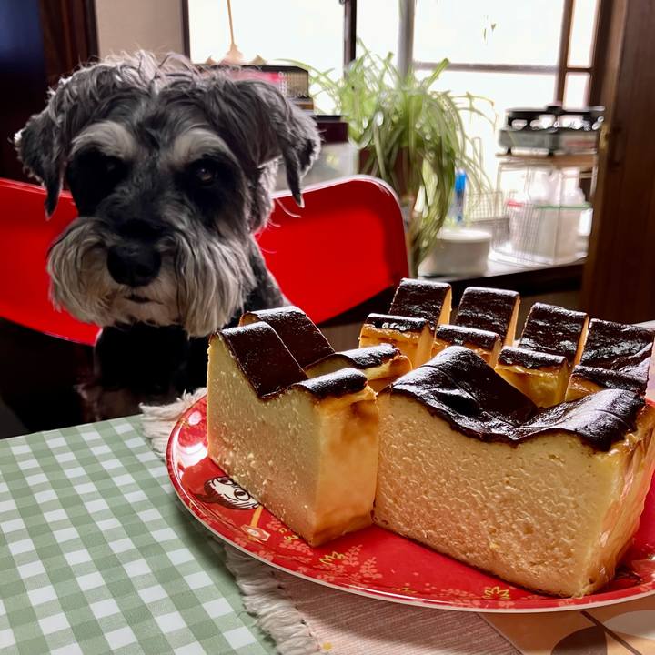 6fa71f42 7c4a 43d2 90f5 2aa793e25b15 1723468863306