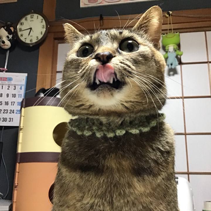 6fa736d7 361c 4a27 a81a 5f3250db2448 1639691390674