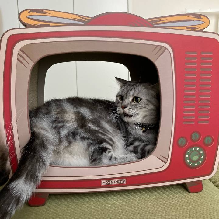 6fa74572 73c1 4426 94c7 dc0ec0108765 1597474986860