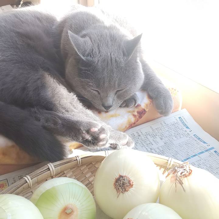 6fa74b62 638c 4d96 9873 e9ec8f79a9d6 1541047309905