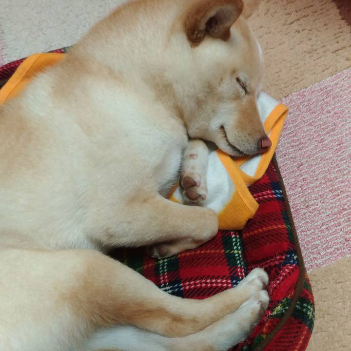 6fa75139 f13f 4dac a9b2 763c73fed3ea 1518782848249