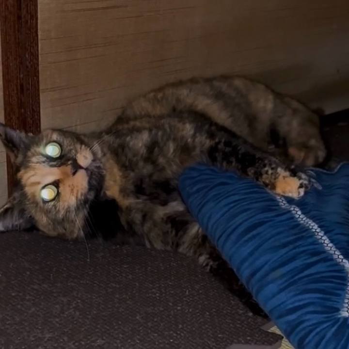 6fa7ad07 7e8a 4021 917f 0a1e40efa84d 1754859415572