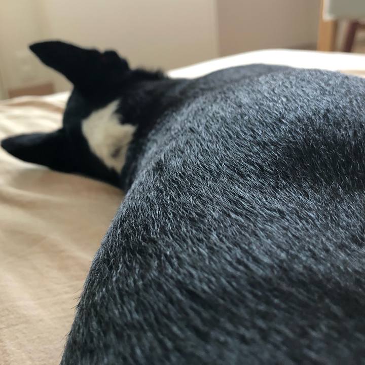 6fa7b98d 816f 45e0 b4ab 6726626d17cd 1721261793794