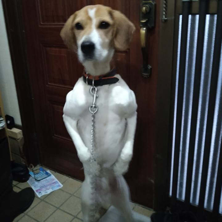 6fa7c381 495a 481f 8af5 f48aa50af01a 1641630185630