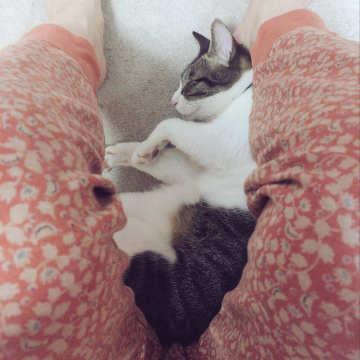 6fa7ed7d f8c8 4639 92bc a4e51fef8ccb 1537799354714