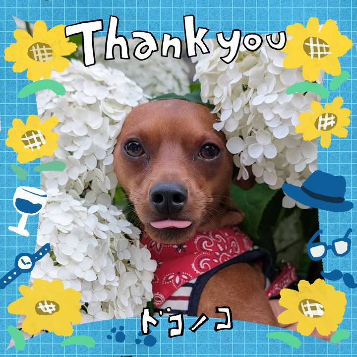 6fa818bb 35b5 421b 85ab dc02c26a2879 1718538472288