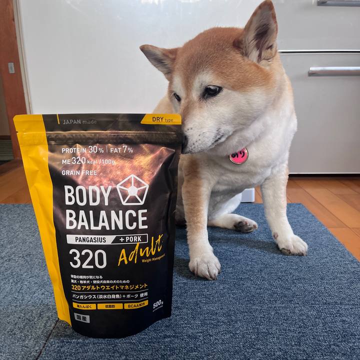 6fa83674 c51e 4c6c a960 335f10b15d23 1714885025434