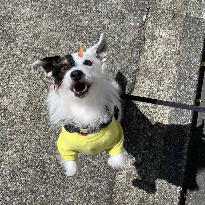 6fa84144 9df1 4114 b02f 23441127bf5c 1684886965292