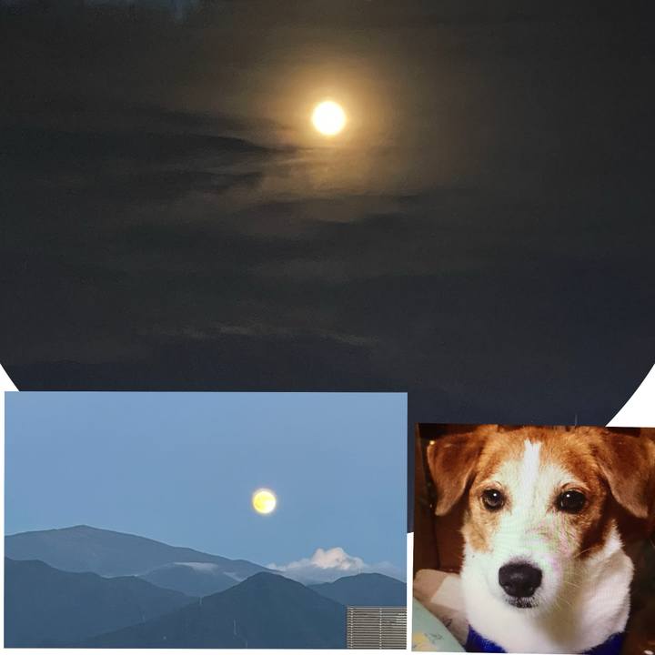 6fa8432d 475d 4451 9204 6364c6d77660 1754746598198