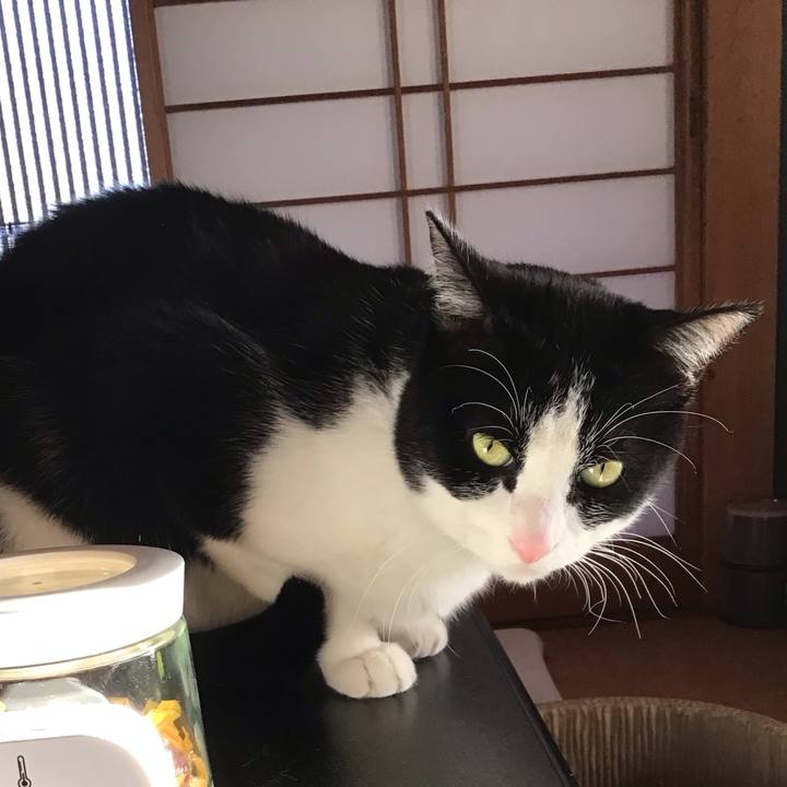 6fa85517 b069 4fa2 b7f2 e543debb42dc 1709022685508