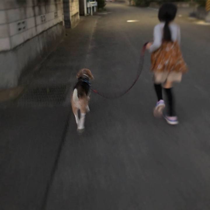 6fa862ea 8023 453e b1dd 573d6450df7f 1540194633981