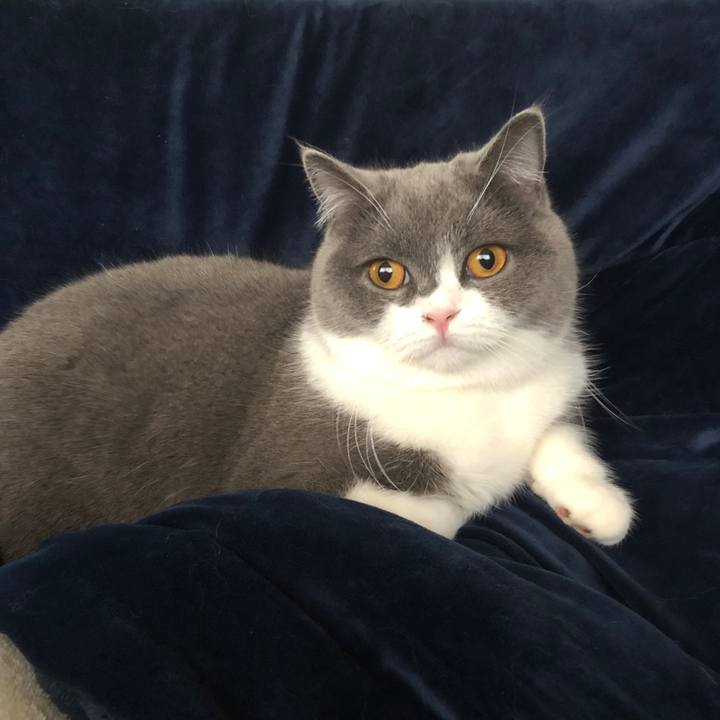 6fa88be6 242e 4e77 ba00 1f74a2ea8c3d 1550100773242