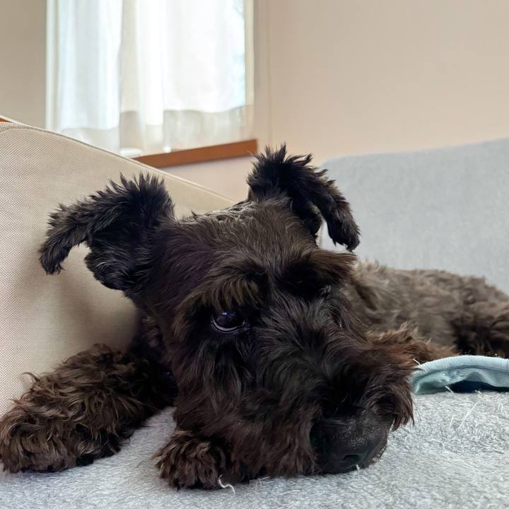 6fa8dd49 e117 4994 b995 b09be0896934 1753054356513