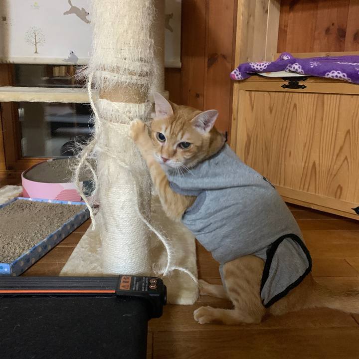 6fa91bec b466 453f ab38 0ea9f677fd28 1642681754240