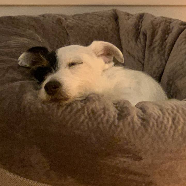 6fa91d2f 3a0a 4996 a43d 9853a86fde1a 1584106988766