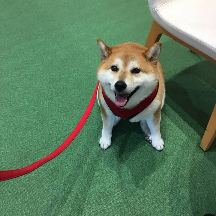 6fa9355a b438 4311 ac9f 71c5b2217d06 1595921669369