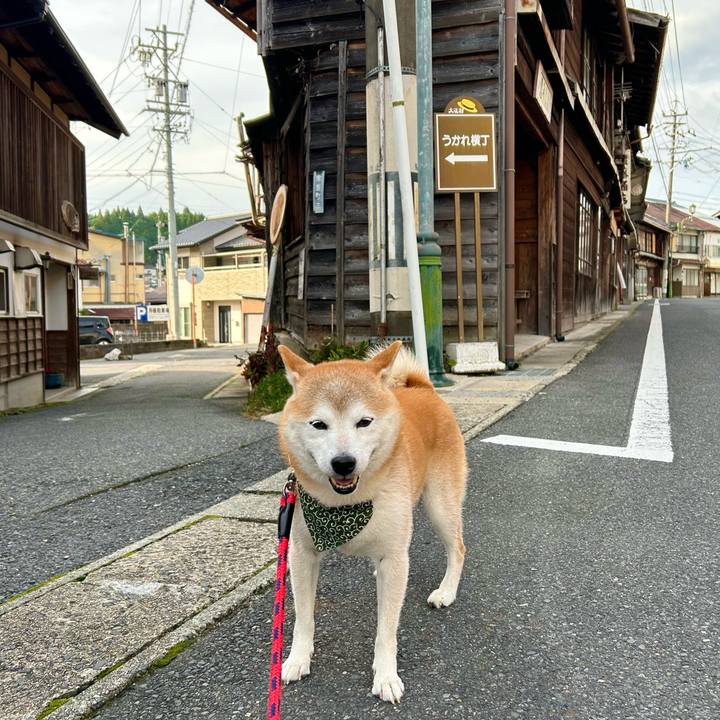 6fa94546 ff30 4a69 9fc4 2c03bb9a0a5e 1730459894307