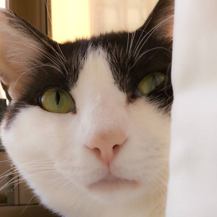 6fa96973 017d 42f7 8cd7 ac6d5dc5b4c9 1561422783939