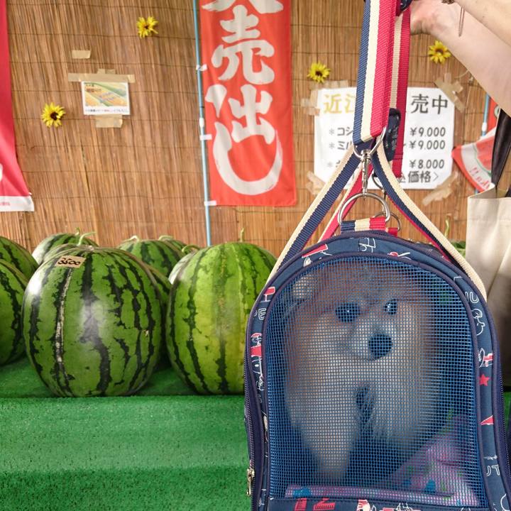 6fa97fa7 f149 4834 bd5b f09e3de7793a 1691137404671