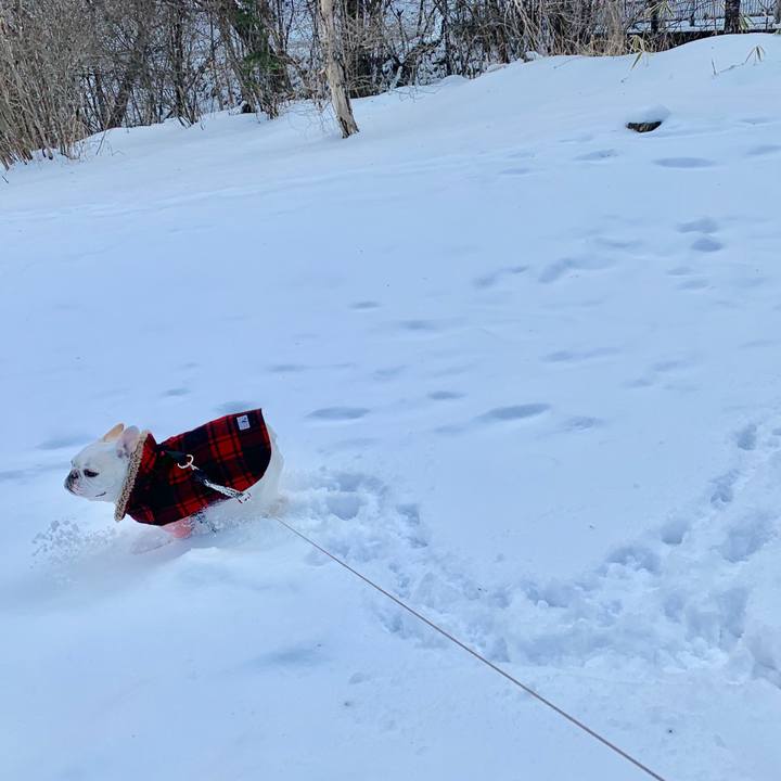 6fa98c50 fba1 464e a7a3 d77fdf12ce47 1548851684353