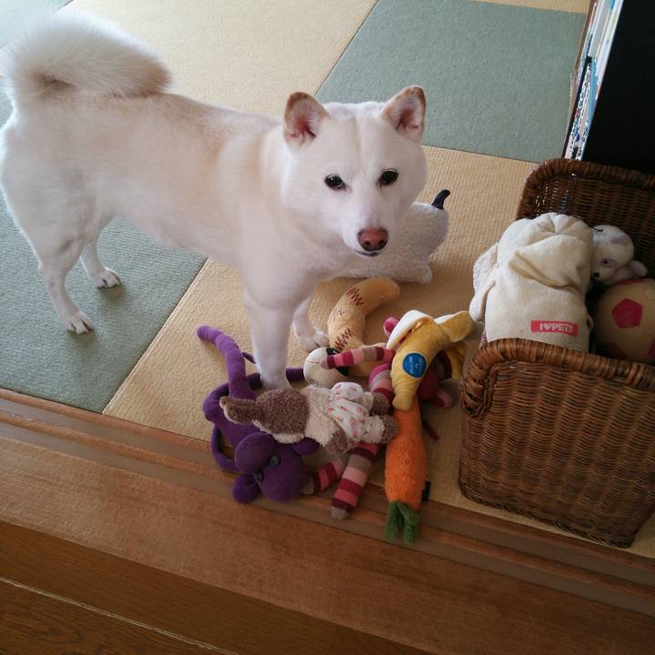 6fa9b9d4 0d7b 4d09 ba67 061ded366a8e 1553054796148