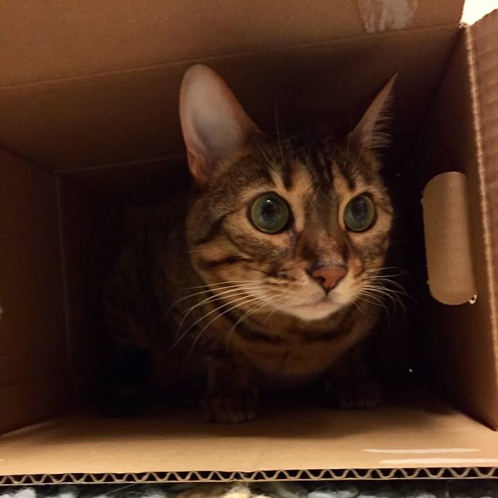 6faa77fa 6af7 4601 a429 b17cd0596fd0 1526869847729