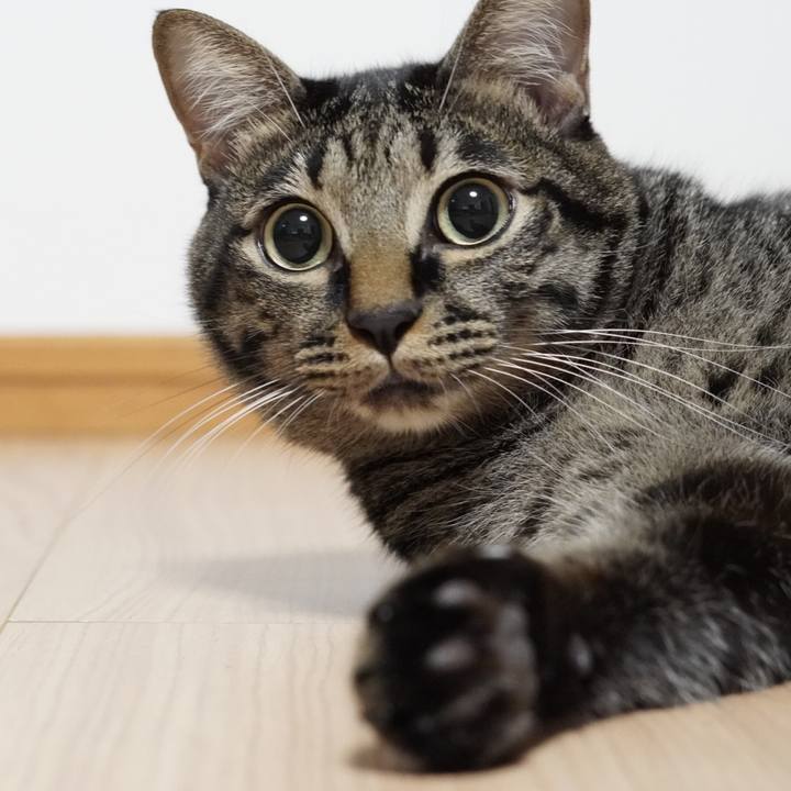 6faa789d e545 4b5b 8ca6 3d2e7a69077a 1663935119753