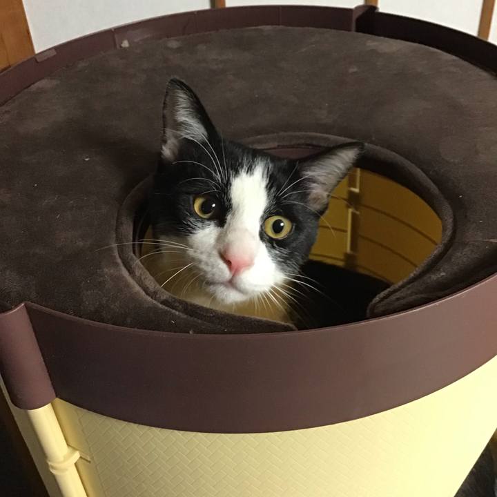 6faa8c19 c645 4442 9878 afb34059b311 1638262518852